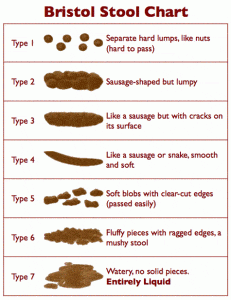 Poo chart 