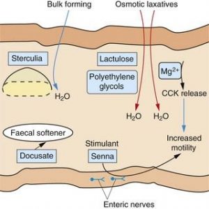 Laxatives 